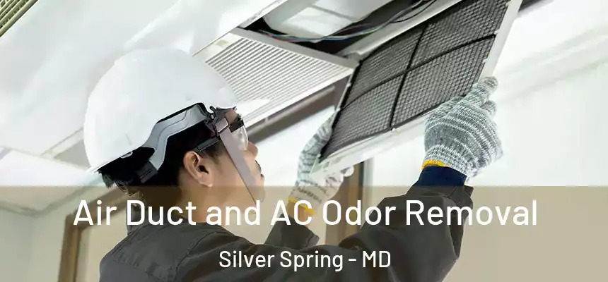 Air Duct and AC Odor Removal Silver Spring - MD