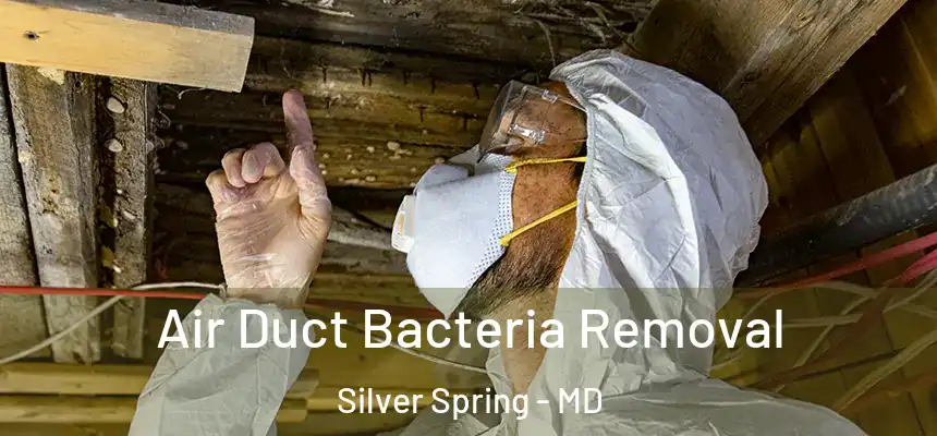 Air Duct Bacteria Removal Silver Spring - MD