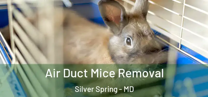 Air Duct Mice Removal Silver Spring - MD