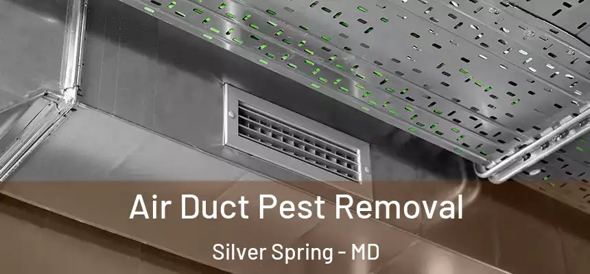 Air Duct Pest Removal Silver Spring - MD