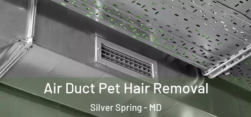 Air Duct Pet Hair Removal Silver Spring - MD