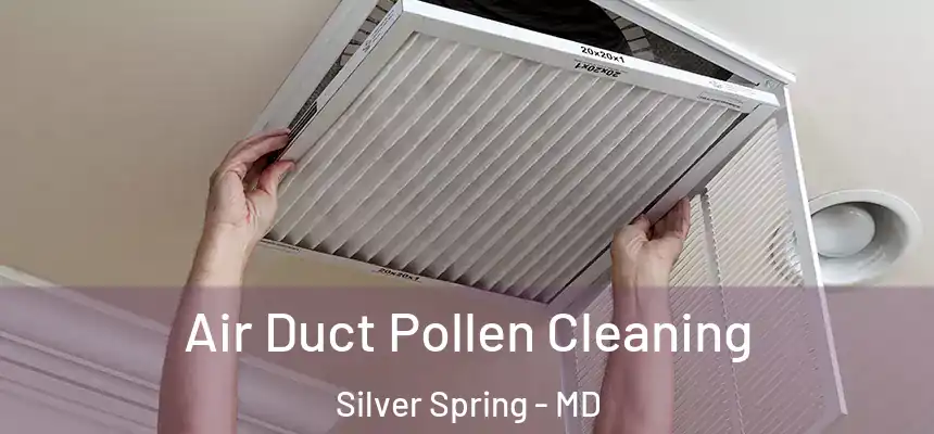 Air Duct Pollen Cleaning Silver Spring - MD