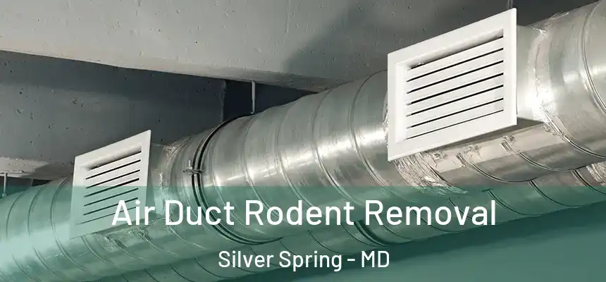 Air Duct Rodent Removal Silver Spring - MD