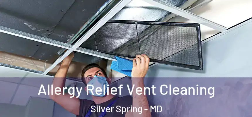 Allergy Relief Vent Cleaning Silver Spring - MD