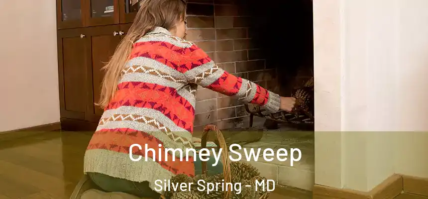  Chimney Sweep Silver Spring - MD