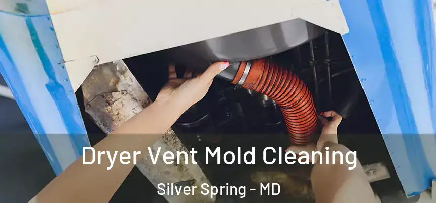 Dryer Vent Mold Cleaning Silver Spring - MD