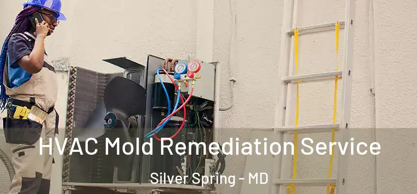 HVAC Mold Remediation Service Silver Spring - MD