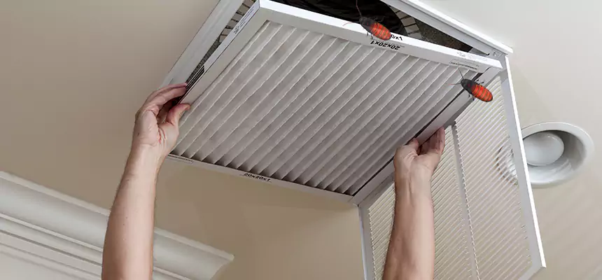 Preventive Cockroach-Proofing for Ducts in Silver Spring