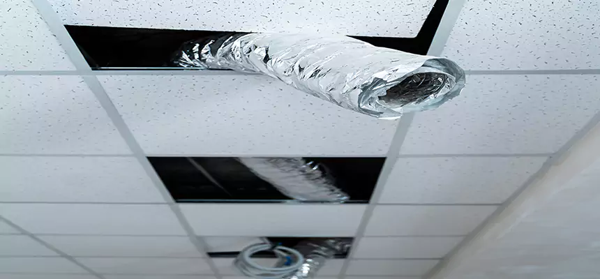 Our Air Duct Pet Hair Removal Services in Silver Spring, MD