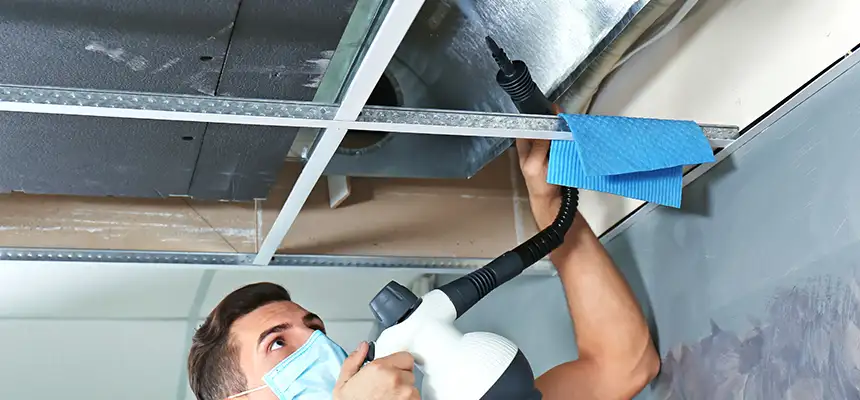 Our Air Duct Rodent Removal Services in Silver Spring, MD