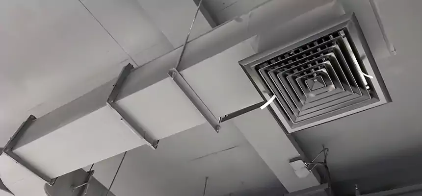 Restorative Allergy Relief Vent Cleaning – Coil, Blower & Housing Detail in Silver Spring