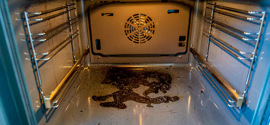 Our Dryer Vent Mold Cleaning Services in Silver Spring, MD