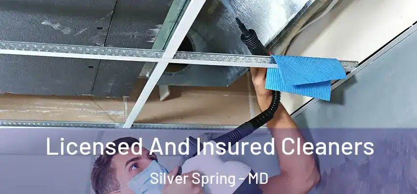 Licensed And Insured Cleaners Silver Spring - MD