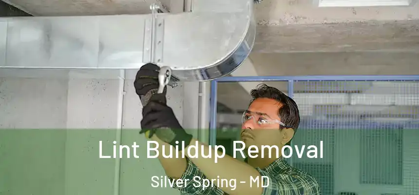 Lint Buildup Removal Silver Spring - MD