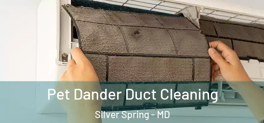 Pet Dander Duct Cleaning Silver Spring - MD