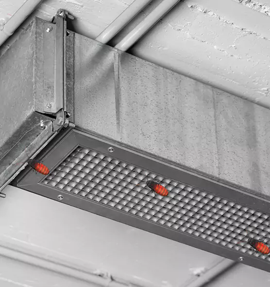 About Air Duct Cockroach Removal in Silver Spring, MD