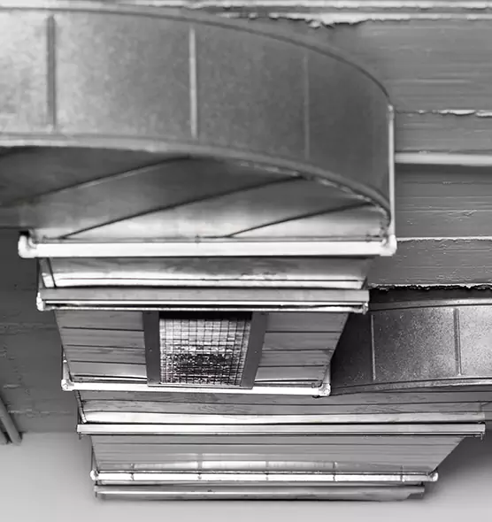 Professional Air Duct Pet Hair Removal in Silver Spring, MD