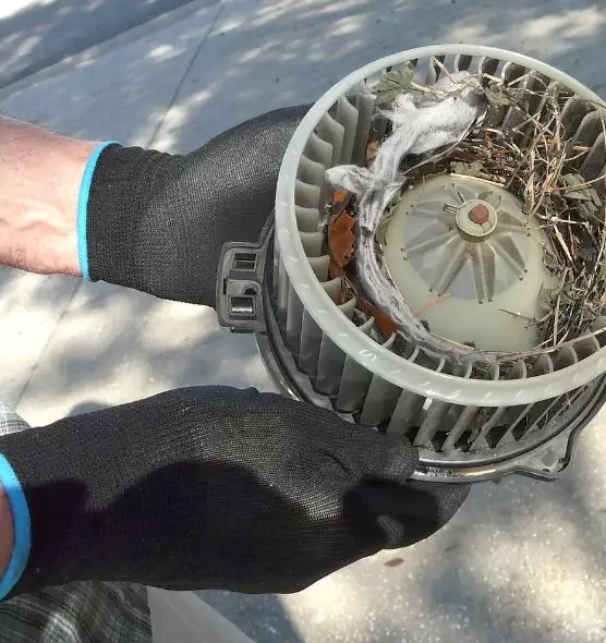 About Air Duct Rat Removal in Silver Spring, MD