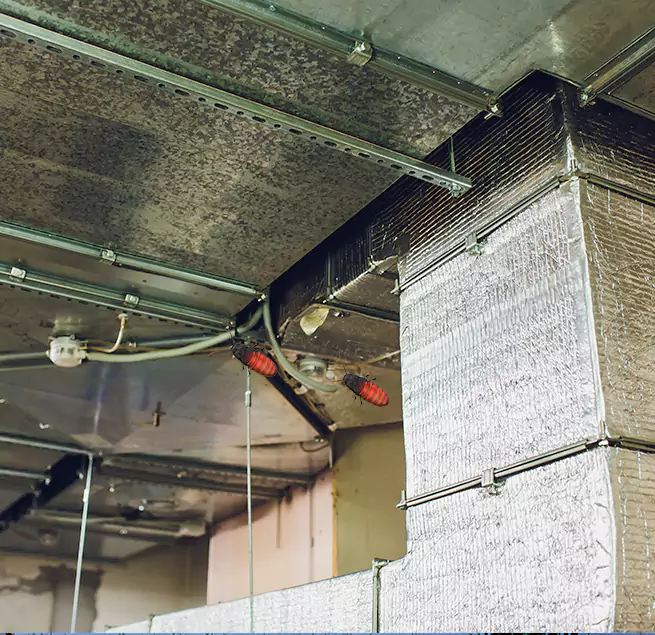 Why Homeowners & Businesses Trust Us in Silver Spring, MD?