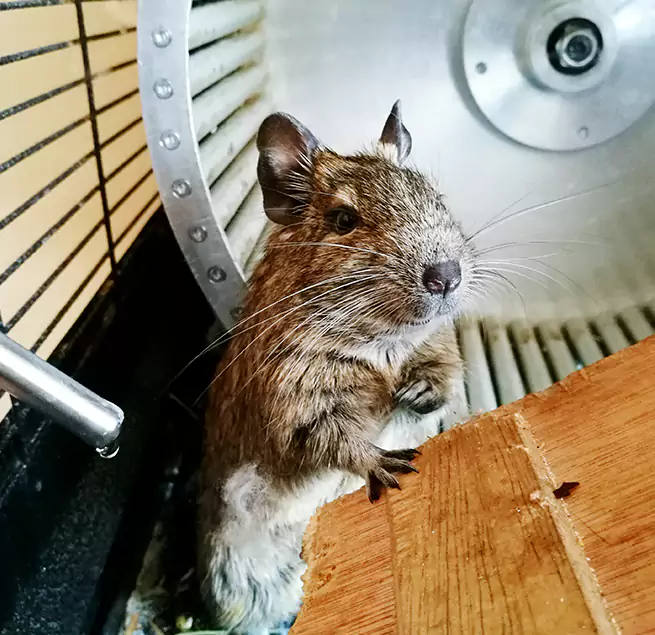 Why Homeowners & Businesses Trust Us Silver Spring, MD?