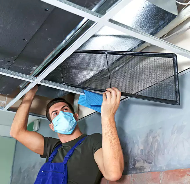 Why Homeowners Businesses Trust Us in Silver Spring, MD