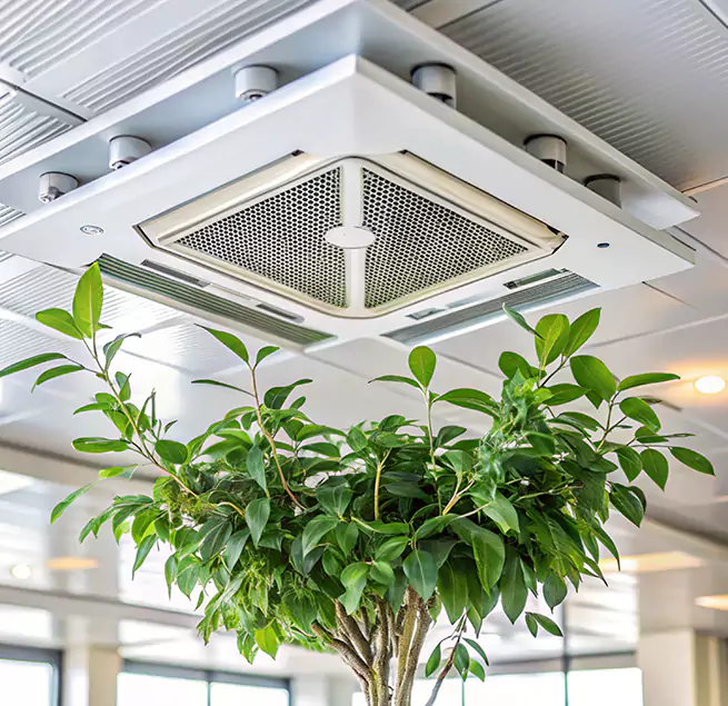 Why Homeowners & Businesses Trust Us in Silver Spring, MD?